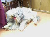 20060420131606.jpg